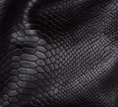 Reptile skin background clipart
