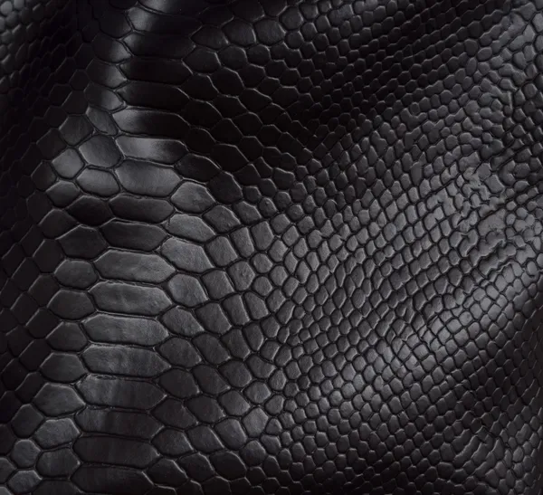 Reptile skin background — Stock Photo, Image