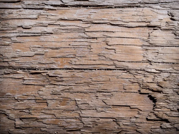 Driftwood tło — Zdjęcie stockowe
