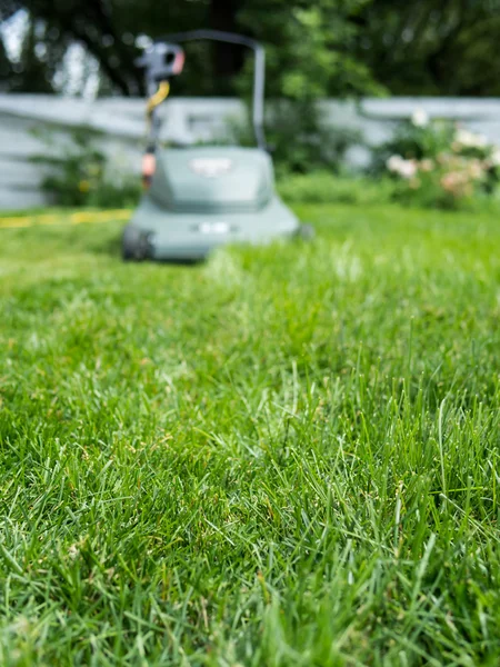 Long grass getting mowed — Stock Photo, Image
