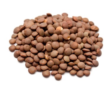 Brown lentils clipart