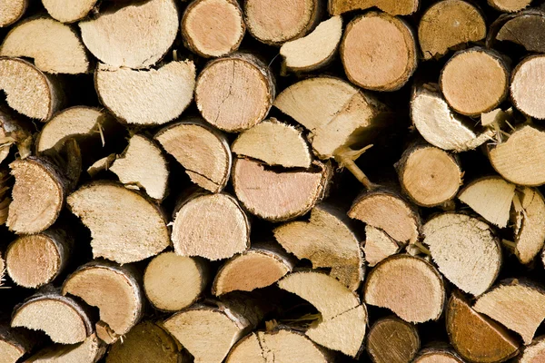 Woodpile — Stok fotoğraf