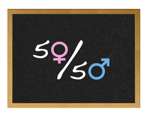 男性と女性のパーセント. — ストック写真