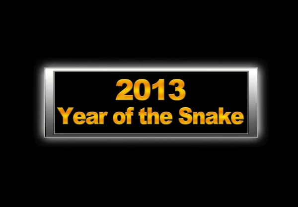 Anno del serpente . — Foto Stock