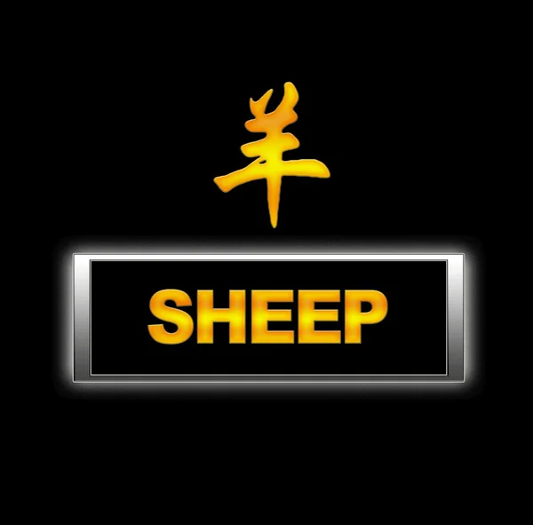Owce. — Zdjęcie stockowe