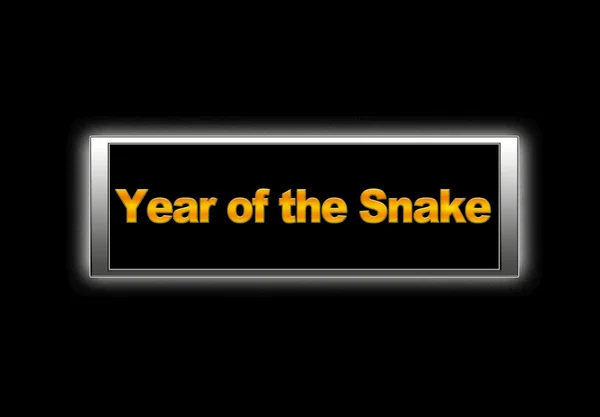 År av orm. — Stockfoto