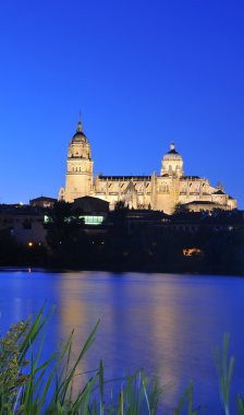 Salamanca cathedral night. clipart