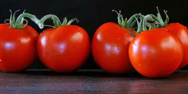 Tomates. — Foto de Stock