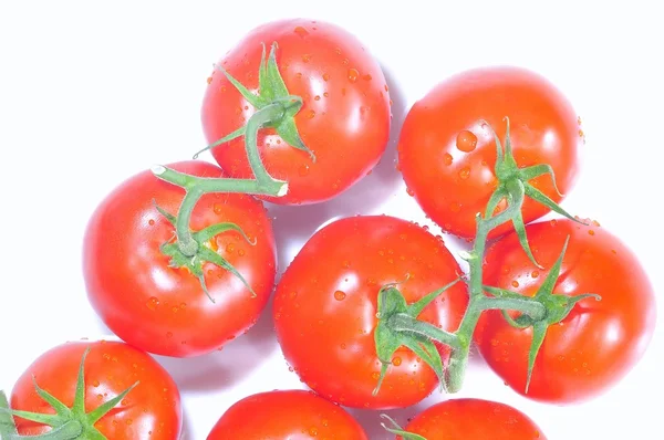 Tomat. — Stockfoto