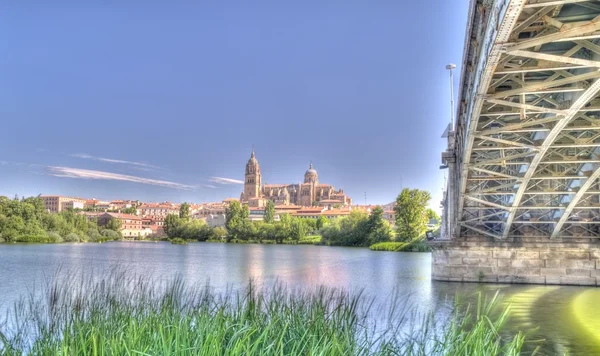 Katedra w Salamance, Hiszpania. — Zdjęcie stockowe
