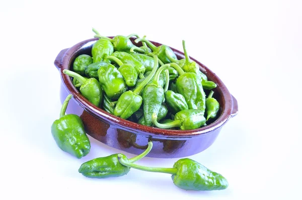 Typische groene paprika's van padron in Galicië. — Stockfoto