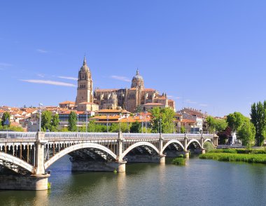 Salamanca cathedral. clipart