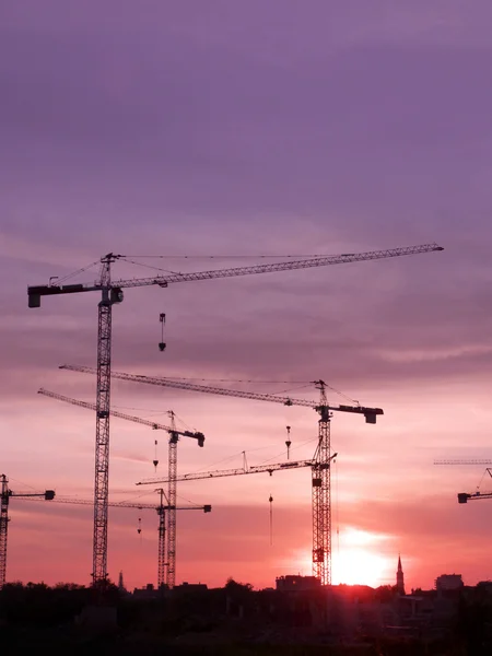 stock image Tower Cranes At Sunset