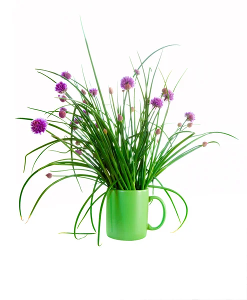 Chives isolated on white — Stock Photo, Image