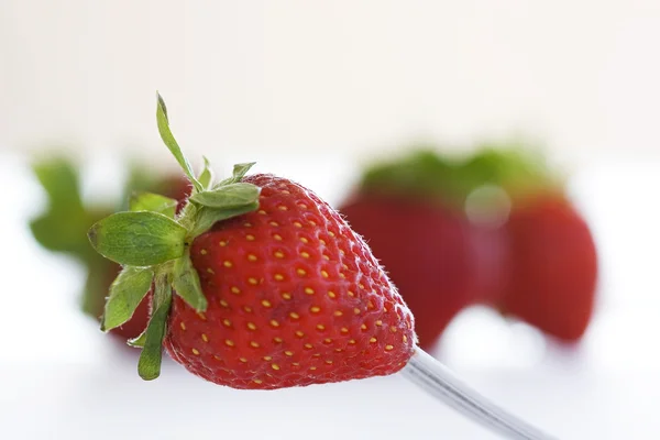 Isolated fruits - Strawberries — Stock Photo, Image
