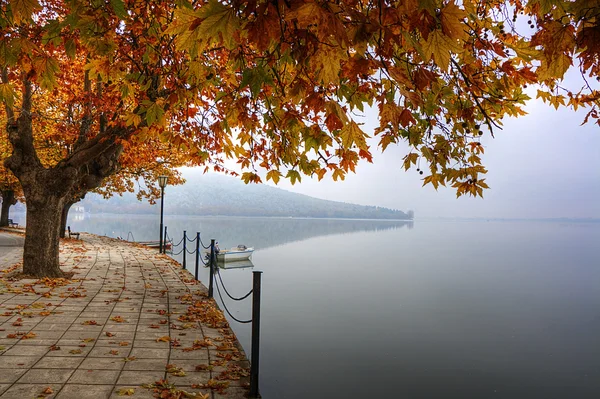 stock image Landscape in fall autumn