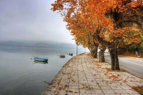 Landscape in fall autumn — Stock fotografie