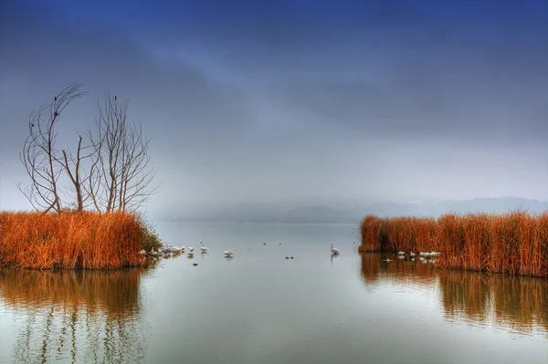 Lago con niebla Imagen de stock