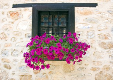 Windows ile çiçek kastoria, Makedonya, Yunanistan