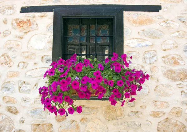 Windows z kwiatami w makedonia, Kastoriá, Grecja — Zdjęcie stockowe