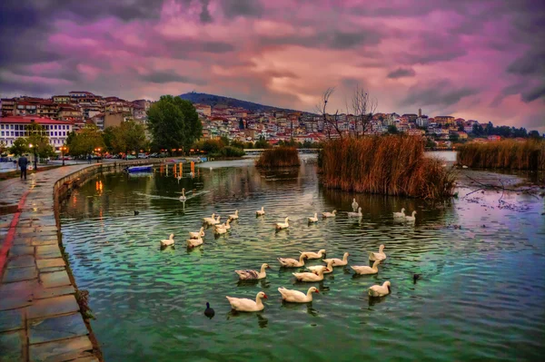 Vista colorida del paisaje con patos en el lago Imagen de stock