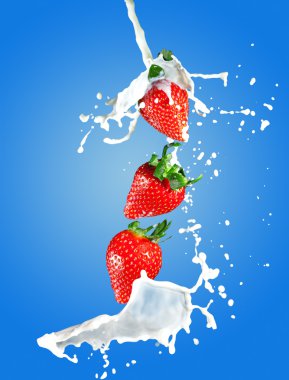 Juicy strawberries in milk splashes clipart