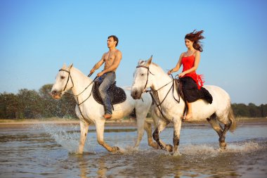 Jong paar in de zee te paard