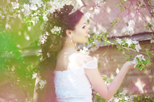 Mireasă frumoasă într-o grădină înfloritoare — Fotografie, imagine de stoc