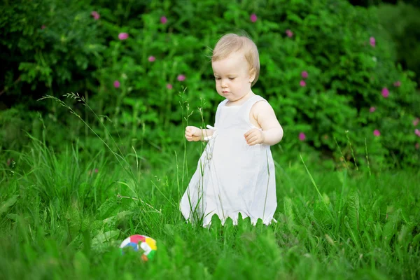 Petite jolie fille sur une pelouse verte — Photo