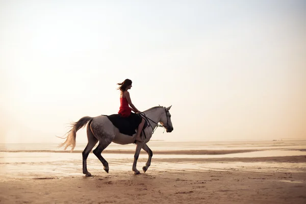 Дівчина їде на коні на фоні моря — стокове фото