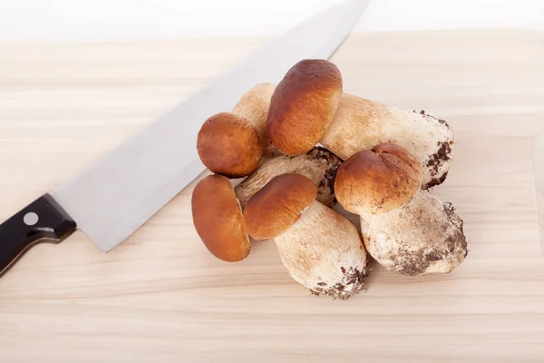 Fresh white mushrooms — Stock Photo, Image