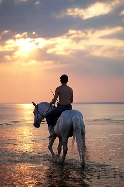 Мужчина на лошади на фоне моря — стоковое фото