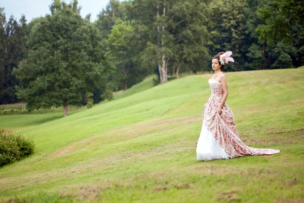 Princesse dans une robe vintage dans la nature — Photo