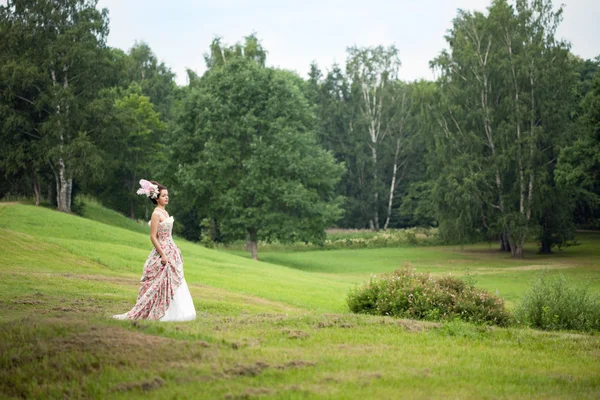 Πριγκίπισσα σε ένα vintage φόρεμα στη φύση — Φωτογραφία Αρχείου