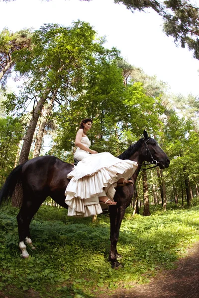 Žena a kůň — Stock fotografie
