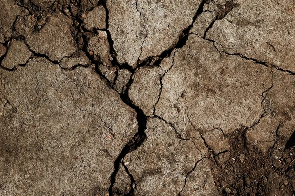 Terra seca em seca — Fotografia de Stock