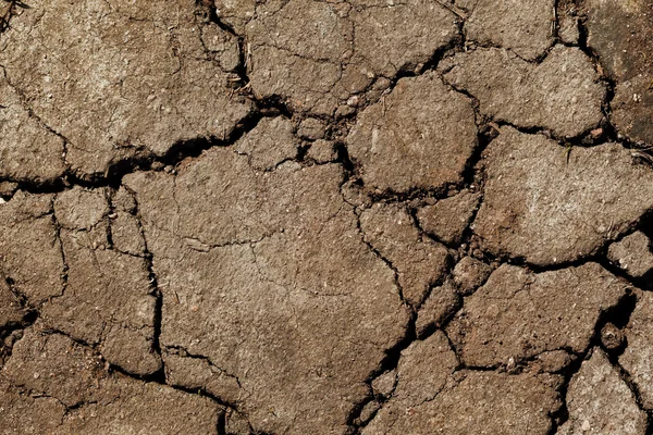 Jorden torkat upp i torkan — Stockfoto