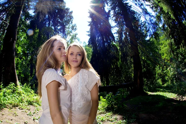 Gêmeos na floresta — Fotografia de Stock