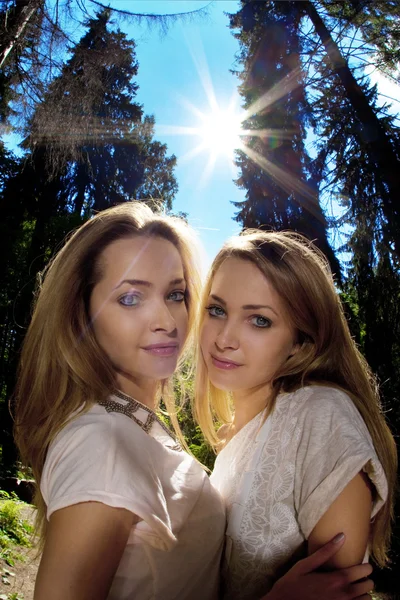 Tvillingar i skogen — Stockfoto