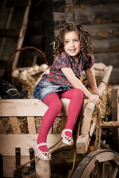 Schönes Kind auf dem Bauernhof — Stockfoto