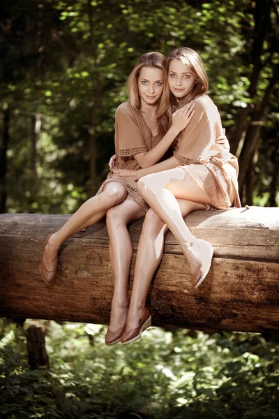 Beautiful twins in the forest — Stock Photo, Image