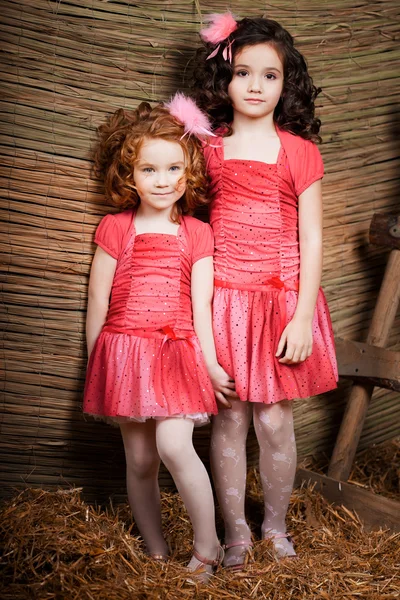 Dwie dziewczynki, słodkie dzieci — Zdjęcie stockowe
