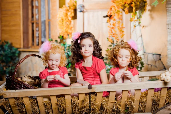 Three little girls, cute kids — Stock Photo, Image