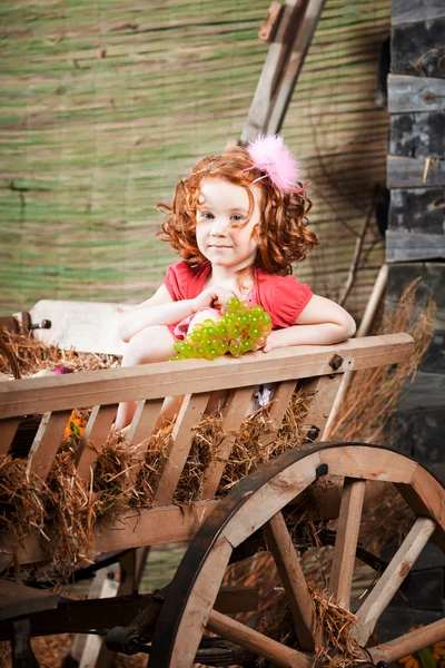 Ребенок на ферме — стоковое фото