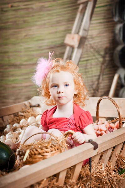Krásné dítě na farmě — Stock fotografie