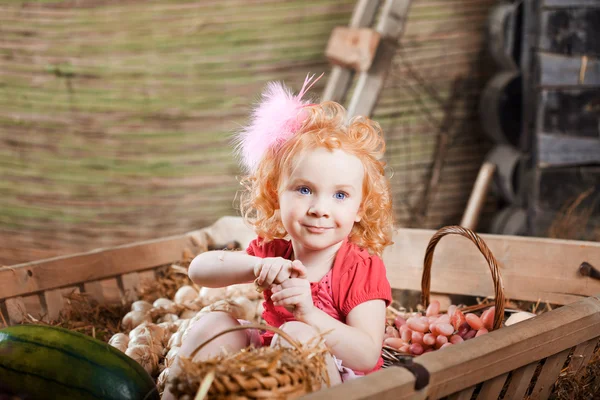 Criança bonita na fazenda — Fotografia de Stock