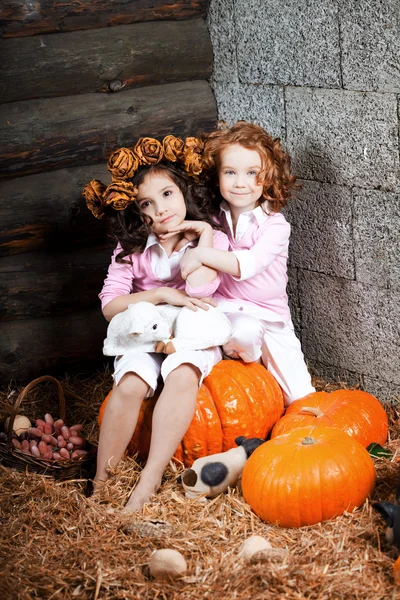 Zwei kleine Mädchen, niedliche Kinder — Stockfoto