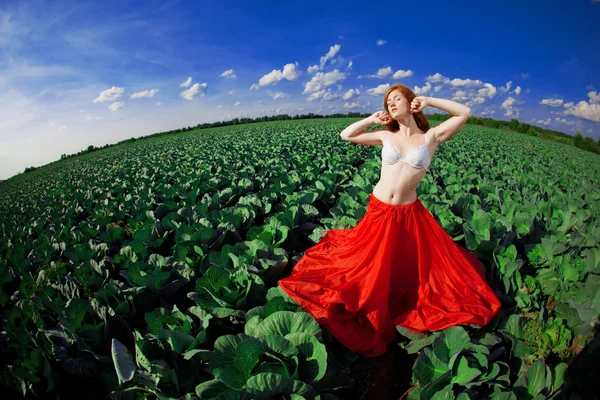 Menina bonita em um campo — Fotografia de Stock