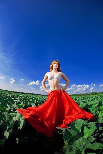 Vacker flicka på ett fält — Stockfoto