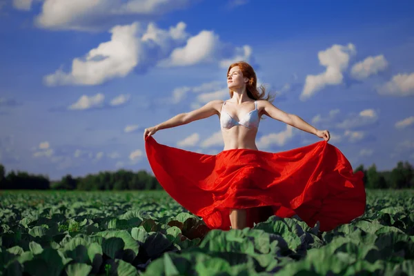Fată frumoasă într-un câmp — Fotografie, imagine de stoc
